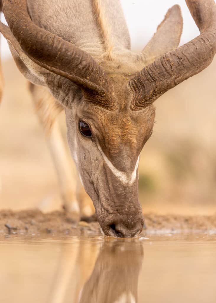 Konstverk av Kim Ritthagen – foto, bild och form